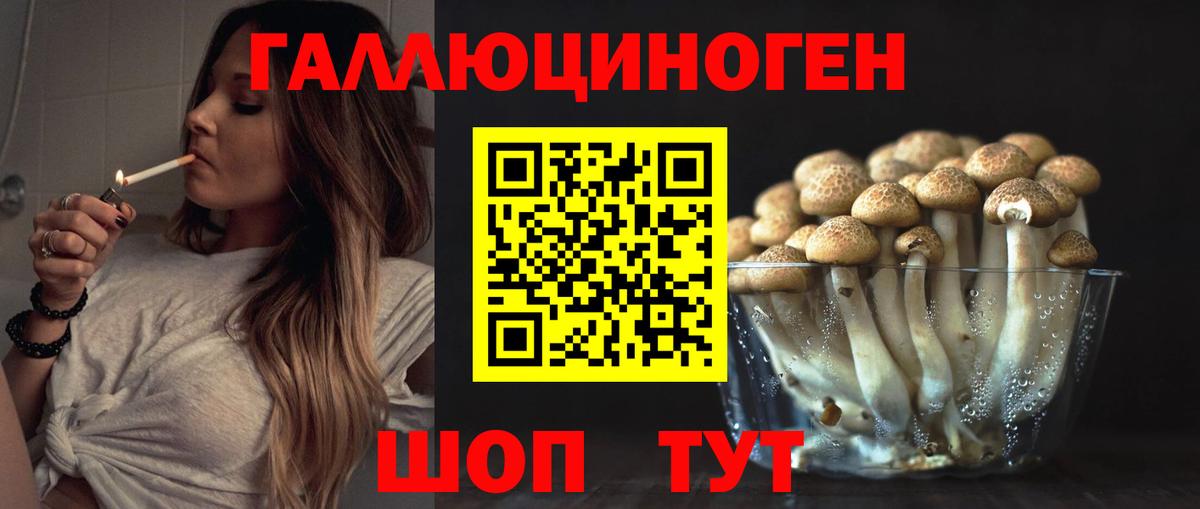Псилоцибиновые грибы ЛСД Каменск-Шахтинский
